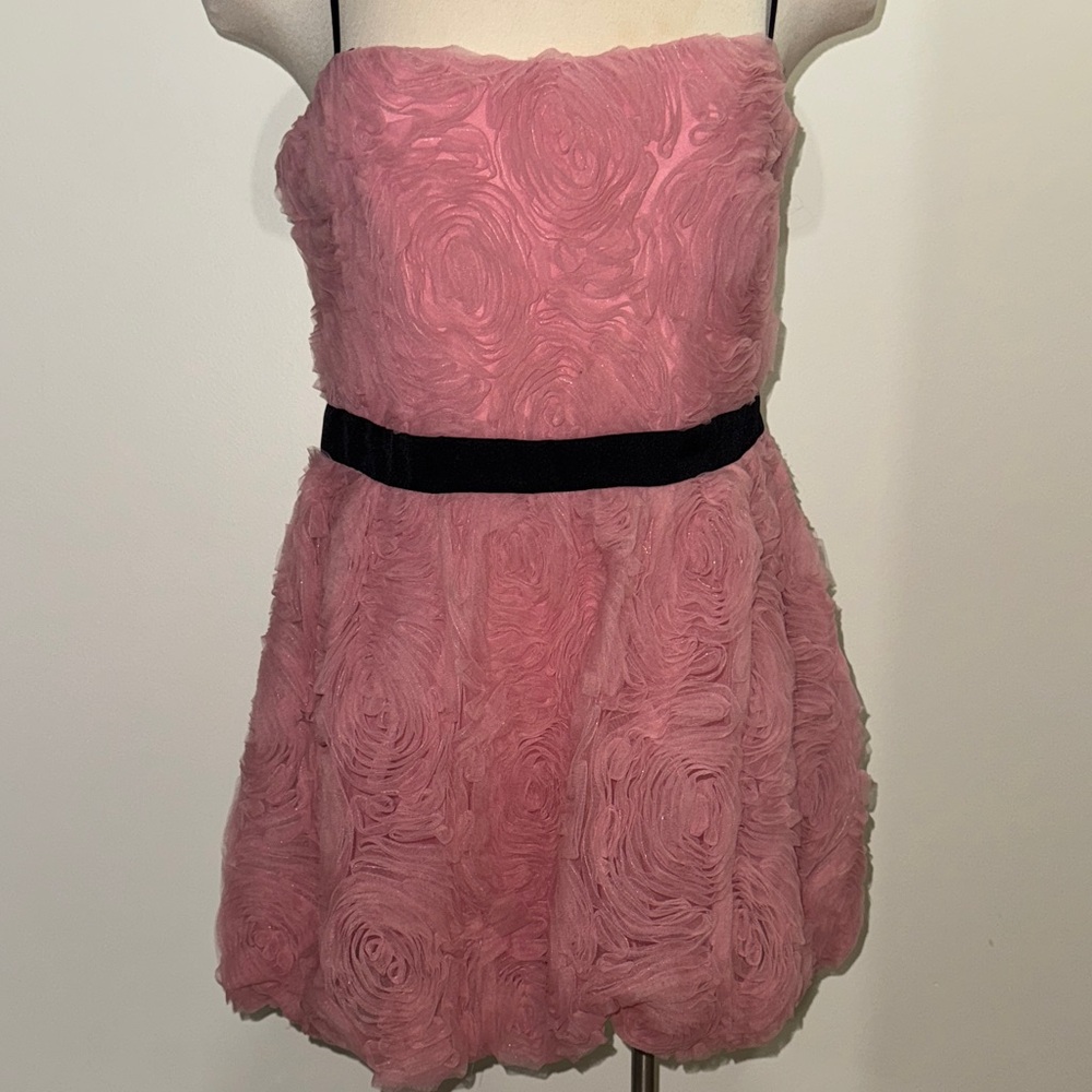 Zara Rose Textured Mini Dress with Black Detail